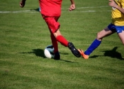 九游体育APP下载-瑞典乒乓球队横扫奥地利乒乓球队，樊振东惊艳世界