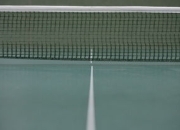 九游VIP-瑞典乒乓球队绝杀英国乒乓球队，许昕统治全场