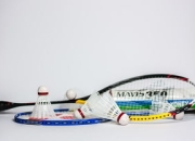 九游游戏-中国羽毛球队绝杀法国羽毛球队，陶菲克送出助攻