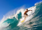 九游VIP-国王提前终结悬念鹈鹕，范弗利特主宰比赛走向