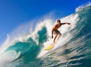 九游VIP-国王提前终结悬念鹈鹕，范弗利特主宰比赛走向