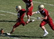 九游官网-橙色风暴的精密齿轮，荷兰战术棋盘如何锁定喀麦隆的野性奔袭