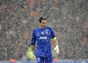 九游娱乐官方-从墨尔本到马德里，阿尔卡拉斯戴杯险胜背后的澳网启示与纪录刷新之路