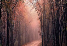 九游娱乐入口-库里末节封神，老鹰展翅击溃魔术，关键先生定义比赛